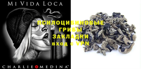 молекула духа Алзамай