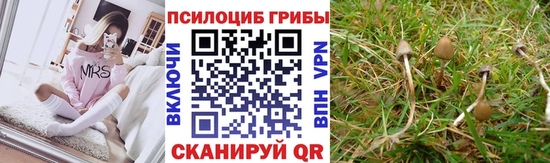 Галлюциногенные грибы прущие грибы  где продают наркотики  Учалы 